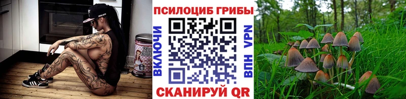 Галлюциногенные грибы Magic Shrooms  Купить  Бугульма 